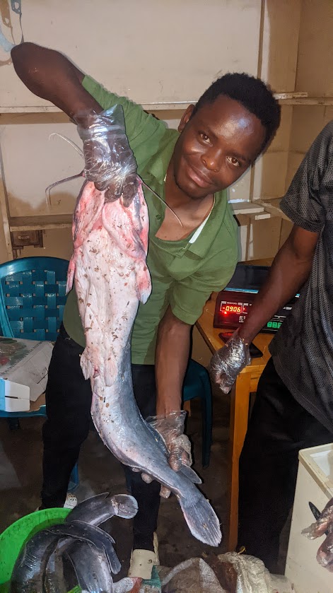 Celebrations of Youth&nbsp;Success